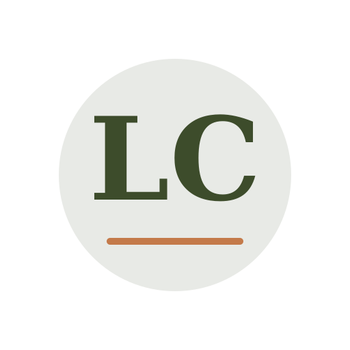 Levi Chimney Services logo